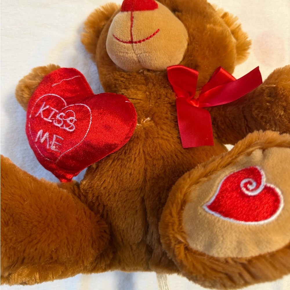 Brown Teddy Bear with Red Heart